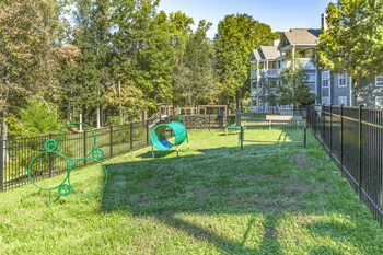 Dog park
